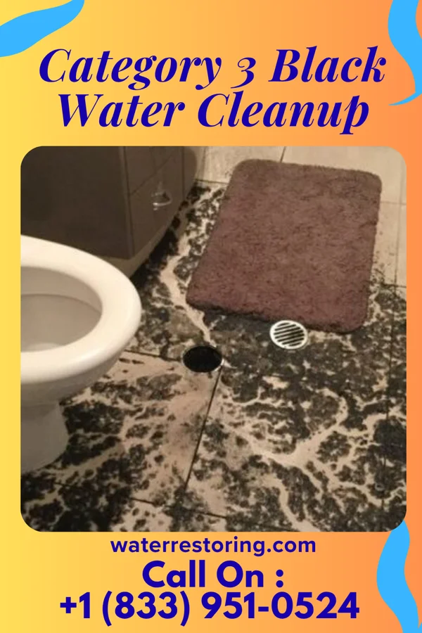 Category 3 Black Water Cleanup in Hampton, SC